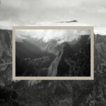 Beaucoup d’instants capturés !